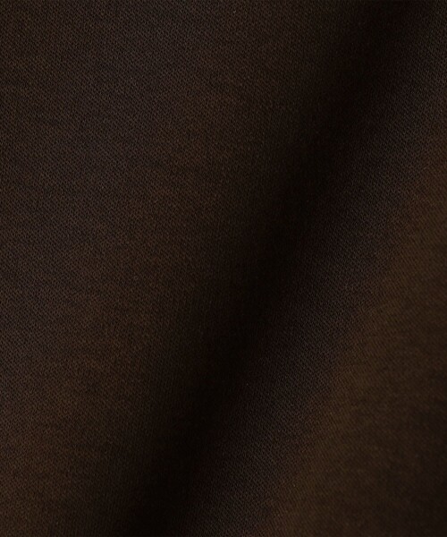 NOLLEY’S Sophi（ノーリーズソフィ）の「《手洗い可能》W&Wショート丈Tシャツ（Tシャツ/カットソー・レディース・ダークブラウン/ダークネイビー/ホワイト/サックスブルー・38）」の20枚目の写真