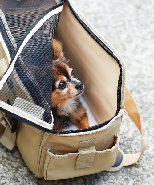 JACK & MARIE（ジャックアンドマリー）の「JACK & MARIE DOG