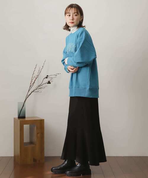 SENSE OF PLACE by URBAN RESEARCH(センスオブプレイスバイアーバンリサーチ)の「ヘビーウェイトグラフィックスウェット(スウェット・レディース・ライトブルー/ネイビー/グレー/オートミール・ONE)」の17枚目の写真