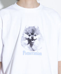 《23SS新柄追加!!》【GLOSTER/グロスター】DOG&CAT 犬猫プリントTシャツ