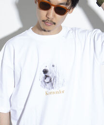 GLOSTER | 《23SS新柄追加!!》【GLOSTER/グロスター】DOG&CAT 犬猫プリントTシャツ(Tシャツ/カットソー)