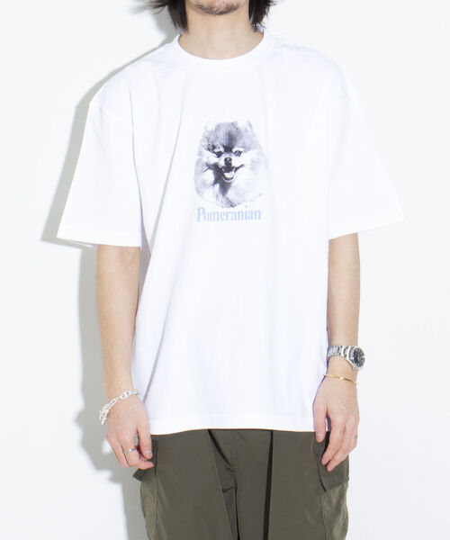 GLOSTER（グロスター）の「《23SS新柄追加!!》【GLOSTER/グロスター】DOG&CAT 犬猫プリントTシャツ（Tシャツ/カットソー・メンズ・ホワイト系その他2/ホワイト系その他5/ホワイト系その他/ホワイト系その他4/ホワイト系その他3/ホワイト系その他6/ホワイト系その他7・M/S/L）」の9枚目の写真