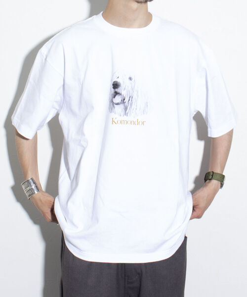 GLOSTER（グロスター）の「《23SS新柄追加!!》【GLOSTER/グロスター】DOG&CAT 犬猫プリントTシャツ（Tシャツ/カットソー・メンズ・ホワイト系その他2/ホワイト系その他5/ホワイト系その他/ホワイト系その他4/ホワイト系その他3/ホワイト系その他6/ホワイト系その他7・M/S/L）」の15枚目の写真