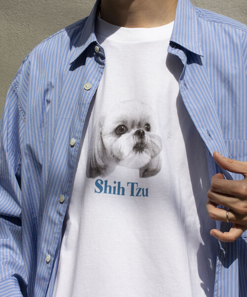 GLOSTER（グロスター）の「《23SS新柄追加!!》【GLOSTER/グロスター】DOG&CAT 犬猫プリントTシャツ（Tシャツ/カットソー・メンズ・ホワイト系その他2/ホワイト系その他5/ホワイト系その他/ホワイト系その他4/ホワイト系その他3/ホワイト系その他6/ホワイト系その他7・M/S/L）」の20枚目の写真