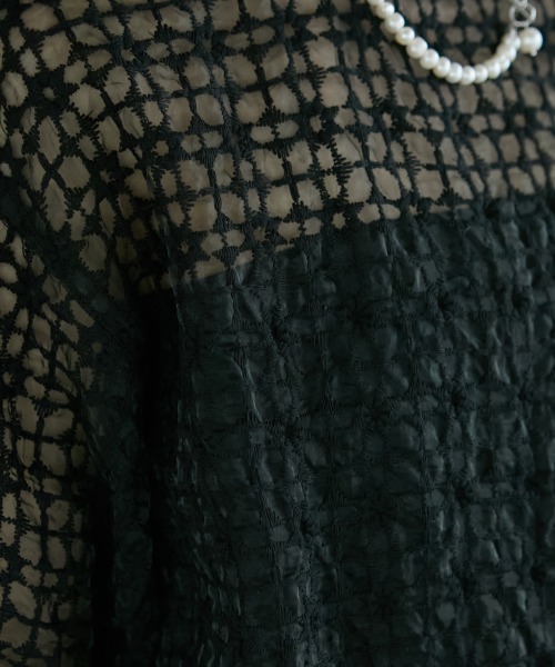 GEVS.(ジェイヴィス)の「<大きいサイズ> シアー刺しゅうブラウス GEVS.(シャツ/ブラウス・レディース・ブラック/ベージュ・4L/LL/L/3L/5L)」の20枚目の写真