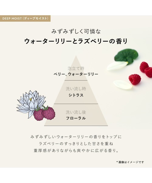 BOTANIST（ボタニスト）の「BOTANIST ボタニスト ボタニカル ボディーソープ（石鹸/ボディソープ・レディース・モイスト/ディープモイスト/クリアクレンズ・FREE）」の11枚目の写真