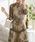 Lace Ladies�i���[�X���f�B�[�X�j�́u�v�`�n�C�l�b�N �����[�X 7���� �}�L�V �����s�[�X�i�h���X�j�v�b�O���[��