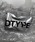 DTYYPE�i�h�^�C�v�j�́u���^�����O�V���C�j�[�|�[�`�i�|�[�`�j�v�b�V���o�[