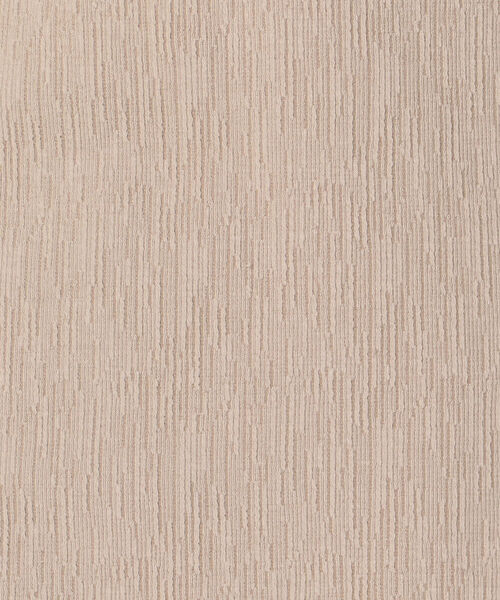 fredy repit(フレディレピ)の「後ろねじりプルオーバーカットソー(Tシャツ/カットソー・レディース・ベージュ/オフホワイト/アイボリー・38)」の9枚目の写真