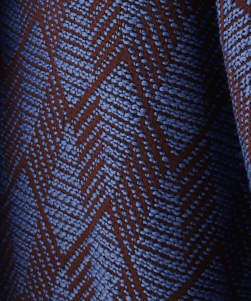 AG by aquagirl（エージーバイアクアガール）の「◆ジャカードフレアスカート【WEB限定サイズ】（スカート・レディース・ブラック系/ダークブラウン系・40/38/36）」の11枚目の写真