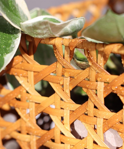 Creer（クレエ）の「UTILE(ユティル)オクタ ポットスタンド Ｓ ワイド（収納グッズ・レディース・ブラウン・ONE SIZE）」の5枚目の写真