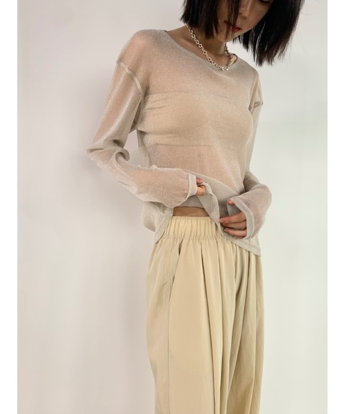 Didot.showroom(ディドット ショールーム)の「シアーラメロンT(Tシャツ/カットソー・レディース・シルバー/ベージュ/ブラック・FREE)」の20枚目の写真