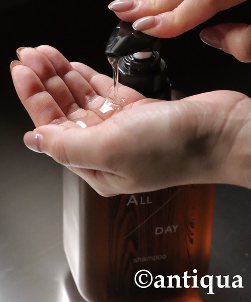 オールデイ デイリーシャンプー ボトル（シャンプー）｜antiqua