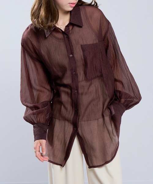 MAISON BREEZE（メゾンブリーズ）の「【MAISON BREEZE】ラメワッシャー シアーシャツ ブラウス シアートップス DTK（シャツ/ブラウス・レディース・ブラック/オフホワイト/グレー/ブラウン・FREE）」の4枚目の写真