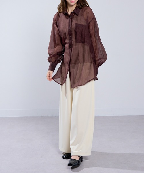 MAISON BREEZE（メゾンブリーズ）の「【MAISON BREEZE】ラメワッシャー シアーシャツ ブラウス シアートップス DTK（シャツ/ブラウス・レディース・ブラック/オフホワイト/グレー/ブラウン・FREE）」の16枚目の写真