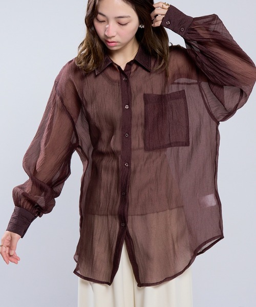 MAISON BREEZE（メゾンブリーズ）の「【MAISON BREEZE】ラメワッシャー シアーシャツ ブラウス シアートップス DTK（シャツ/ブラウス・レディース・ブラック/オフホワイト/グレー/ブラウン・FREE）」の13枚目の写真