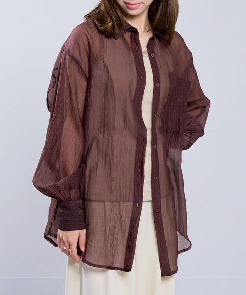 MAISON BREEZE（メゾンブリーズ）の「【MAISON BREEZE】ラメワッシャー シアーシャツ ブラウス シアートップス DTK（シャツ/ブラウス・レディース・ブラック/オフホワイト/グレー/ブラウン・FREE）」の12枚目の写真