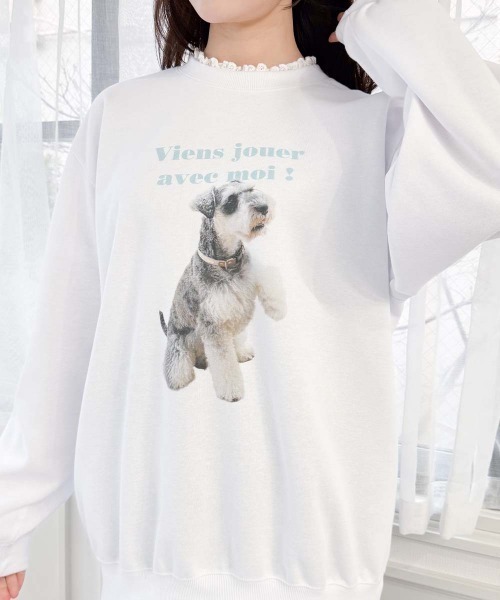 F i.n.t（フィント）の「シュナウザーのリオ君プリントスウェット（スウェット・レディース・レッド/ミント・FREE）」の5枚目の写真