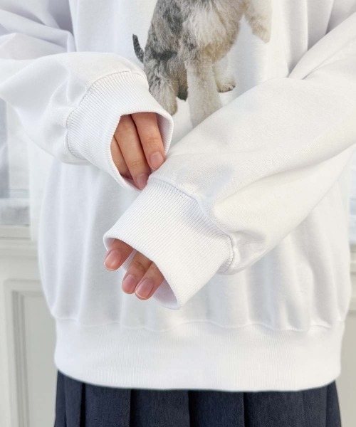 F i.n.t（フィント）の「シュナウザーのリオ君プリントスウェット（スウェット・レディース・レッド/ミント・FREE）」の6枚目の写真