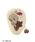SNIDEL HOME�i�X�i�C�f���z�[���j�́u�yTweety�z�|�[�`�i�|�[�`�j�v�b�C�G���[