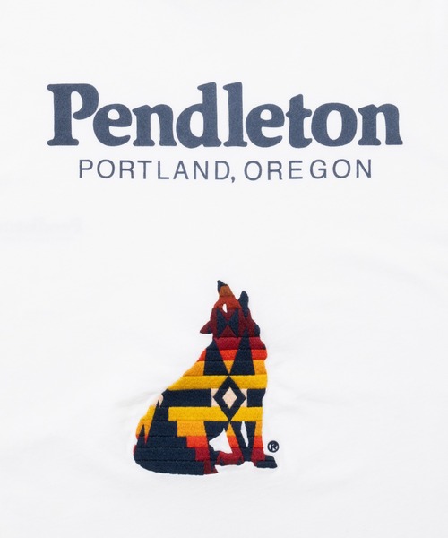 PENDLETON（ペンドルトン）の「ドライタッチコットン バックプリント×刺繍ロングスリーブTシャツ（Tシャツ/カットソー・メンズ・オフホワイト/ローズ/ライラック/ブラック・SMALL/X-LARGE/MEDIUM/LARGE）」の19枚目の写真