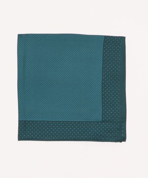 Lui's(ルイス)の「クラシック調シルクスカーフ(ストール/ショール・メンズ・グリーン/ブラウン・FREE)」の6枚目の写真