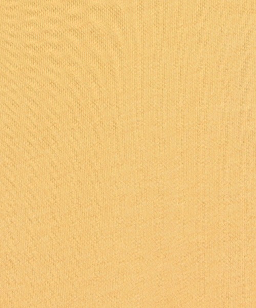 AURALEE（オーラリー）の「AURALEE / シアーカットソー（Tシャツ/カットソー・レディース・イエロー/ブラック・0/1）」の5枚目の写真