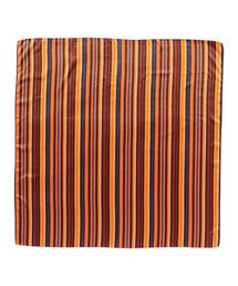 Ray BEAMS | Ray BEAMS / マルチ ボーダー スカーフ(バンダナ/スカーフ)