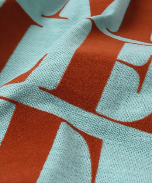 BREEZE（ブリーズ）の「【ユニセックス】ヴィンテージカレッジロンT（Tシャツ/カットソー・キッズ・ピンク/グリーン/ライトグレー/ネイビー/イエロー/サックスブルー/アイボリー/ブラック/レッド/ベージュ・100/140/150/110/90/80/130/120）」の21枚目の写真