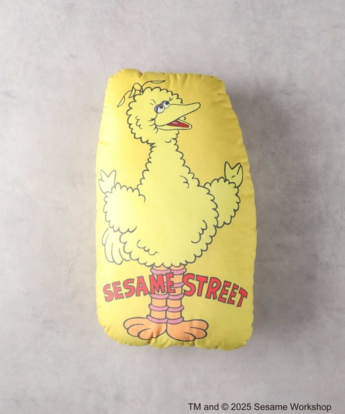 Right-on(ライトオン)の「SESAME STREET(セサミストリート)【レディース】「SESAME STREET」クッション(その他・レディース・ブルー/イエロー/レッド/グリーン・ONE SIZE)」の3枚目の写真