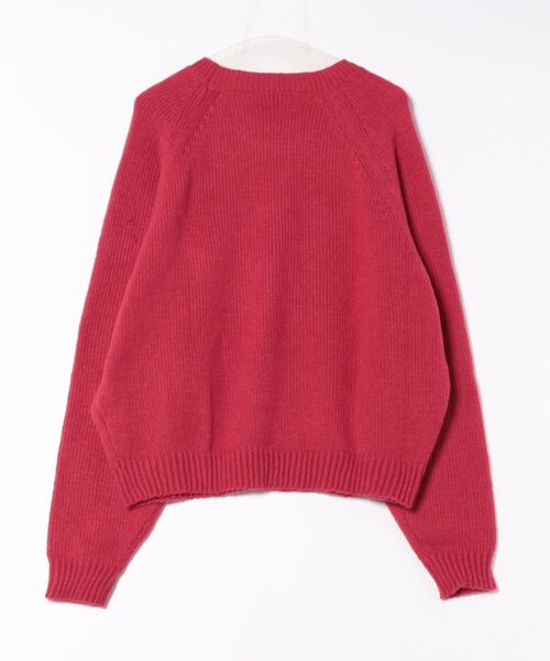a.p.o.v.(エーピーオービー)の「a.p.o.v. ガチョウニットセーター(ニット/セーター・メンズ・ブラック/レッド・ONESIZE)」の3枚目の写真