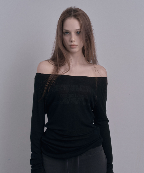 DAMIO(ダミオ)の「フェードレタリングシアートップ(ブラック)(Tシャツ/カットソー・レディース・その他・FREE)」の1枚目の写真