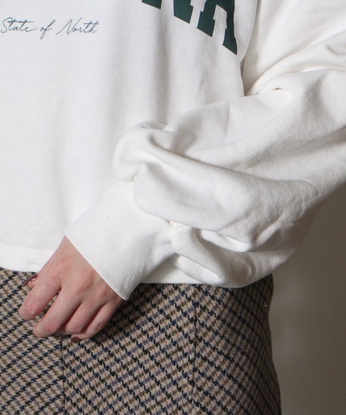 NOMAE（ノーマエ）の「【NOMAE】ショートカレッジロゴトレーナー（スウェット・レディース・ホワイト/ライトグレー/グレー/ライトグリーン/ダークブルー・FREE）」の18枚目の写真