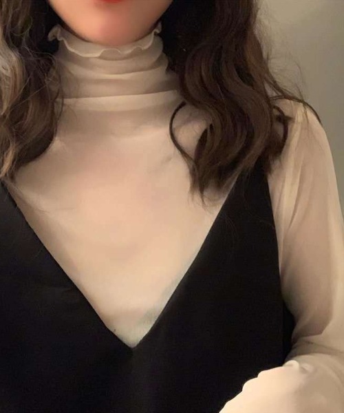 LAC-VERT（ラック・ヴェール）の「シアーハイネックトップス（Tシャツ/カットソー・レディース・ブラック/ベージュ/ブラウン/グレー/ホワイト/ピンク・FREE）」の19枚目の写真