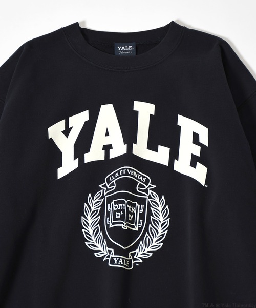 Johnbull Private labo(ジョンブルプライベートラボ)の「【+81BRANCA】カレッジスウェット / YALE(スウェット・レディース・ホワイト/ネイビー・MEDIUM/X-LARGE)」の13枚目の写真
