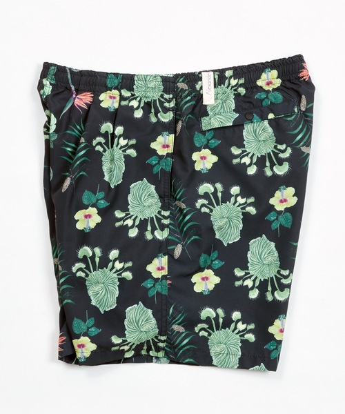AlexanderLeeChang(アレキサンダーリーチャン)の「SO PLANTS SHORTS AC-042201(その他パンツ・メンズ・ブラウン/ブラック/ミント・1/2/3)」の14枚目の写真