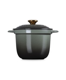 LE CREUSET グラデーション鍋 ココットエブリィ 18 タイム