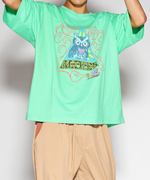 ALDIES（アールディーズ）の「Owl Big T / アウルビッグT（Tシャツ/カットソー・メンズ・ホワイト/ブルー/グリーン・FREE）」の2枚目の写真