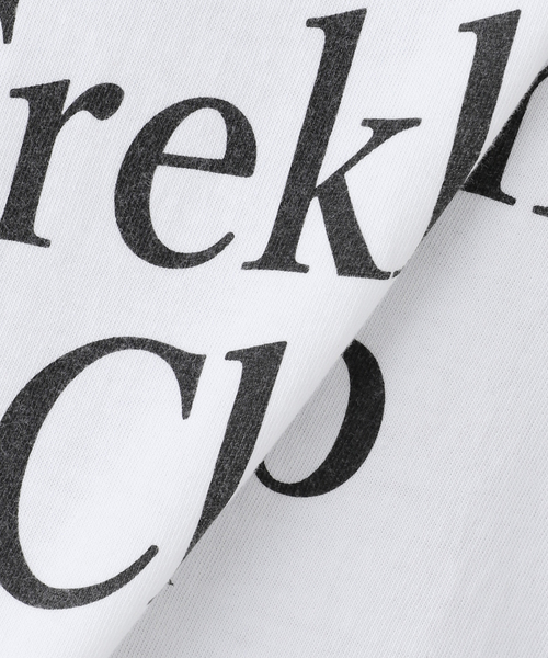 journal standard L'essage（ジャーナルスタンダードレサージュ）の「《追加2》【MAINE】ピグメントTシャツ（Tシャツ/カットソー・レディース・ブラウン/ブラック/ピンク/ホワイト・FREE）」の13枚目の写真