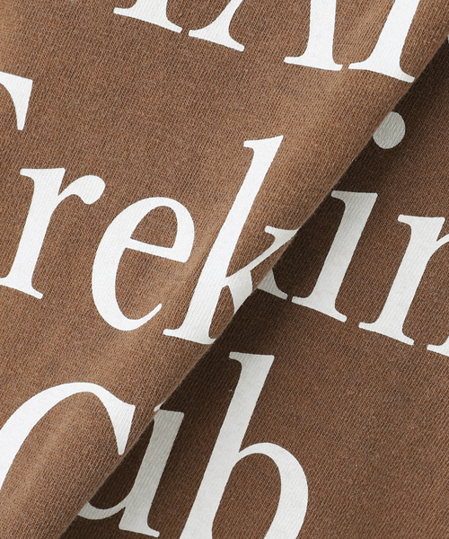 journal standard L'essage（ジャーナルスタンダードレサージュ）の「《追加2》【MAINE】ピグメントTシャツ（Tシャツ/カットソー・レディース・ブラウン/ブラック/ピンク/ホワイト・FREE）」の15枚目の写真