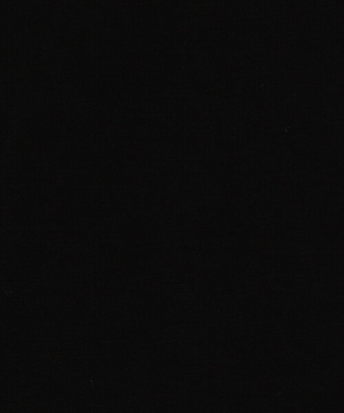 fredy couleur（フレディクルール）の「シアーベロアサイドライン切替タイトスカート（スカート・レディース・ブラウン/ブラック/アイボリー・38）」の9枚目の写真