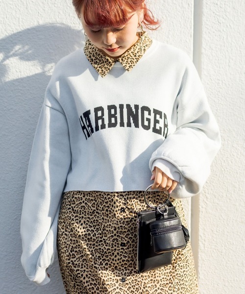 RASVOA(ラスボア)の「ジャガードショートニット(ニット/セーター・レディース・ブラック/グリーン/オフホワイト/グレー・FREE)」の1枚目の写真