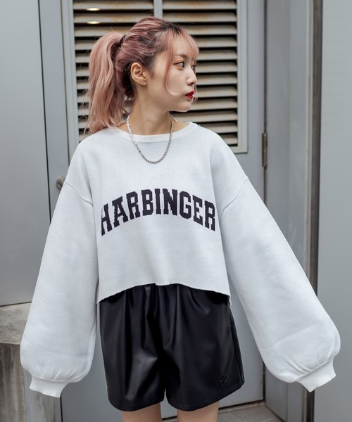 RASVOA(ラスボア)の「ジャガードショートニット(ニット/セーター・レディース・ブラック/グリーン/オフホワイト/グレー・FREE)」の7枚目の写真