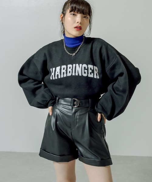 RASVOA(ラスボア)の「ジャガードショートニット(ニット/セーター・レディース・ブラック/グリーン/オフホワイト/グレー・FREE)」の16枚目の写真