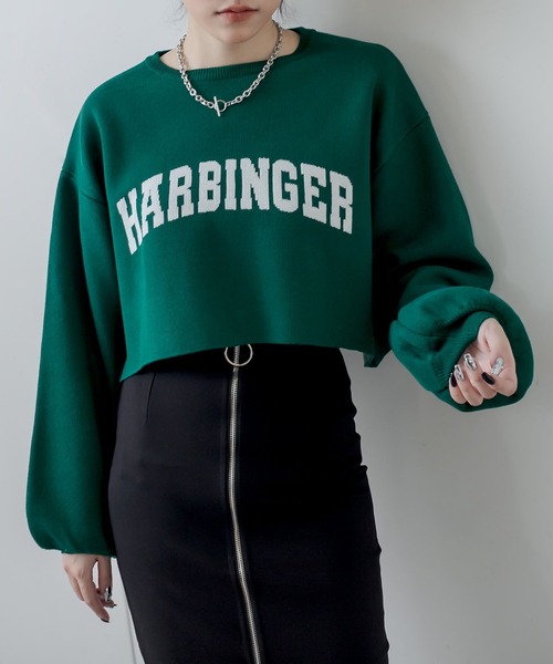 RASVOA(ラスボア)の「ジャガードショートニット(ニット/セーター・レディース・ブラック/グリーン/オフホワイト/グレー・FREE)」の13枚目の写真