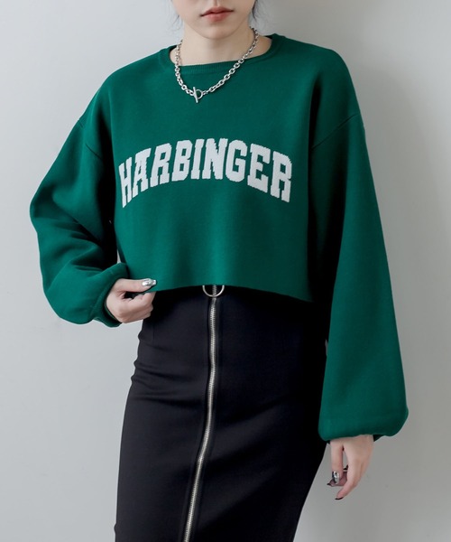 RASVOA(ラスボア)の「ジャガードショートニット(ニット/セーター・レディース・ブラック/グリーン/オフホワイト/グレー・FREE)」の5枚目の写真