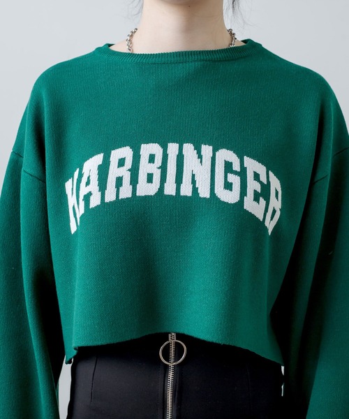 RASVOA(ラスボア)の「ジャガードショートニット(ニット/セーター・レディース・ブラック/グリーン/オフホワイト/グレー・FREE)」の18枚目の写真