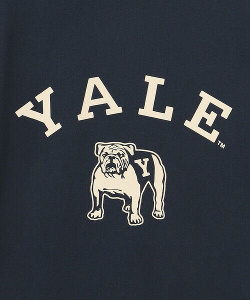 J.PRESS YORK STREET（ジェイプレスヨークストリート）の「【UNISEX】YALE × J.PRESS YORK STREET コラボTシャツ（Tシャツ/カットソー・メンズ・ホワイト系/ライトグレー系/ネイビー系・SMALL/MEDIUM/LARGE）」の14枚目の写真