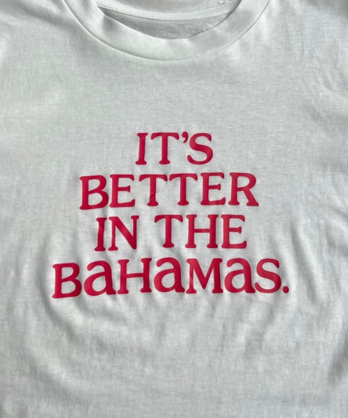 SHAGGIE（シャギー）の「フロントロゴプリントミニTEEシャツ（Tシャツ/カットソー・レディース・イエロー/ホワイト/チャコールグレー・FREE）」の14枚目の写真