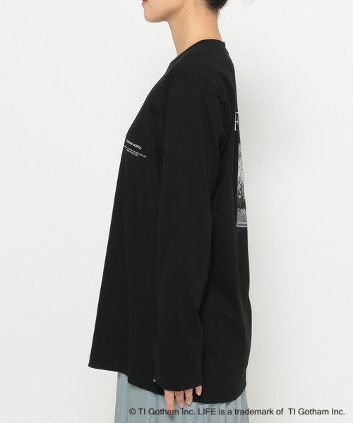 ⭐️未使用近い⭐️CC 2023-24 AW(秋冬)半袖Tシャツ・カットソー L 楽天市場】Tシャツ 長袖 vネック 無地 きれいめ レディース 秋冬